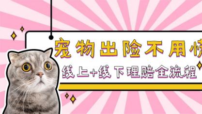 宠物出险不用慌！线上+线下理赔全流程