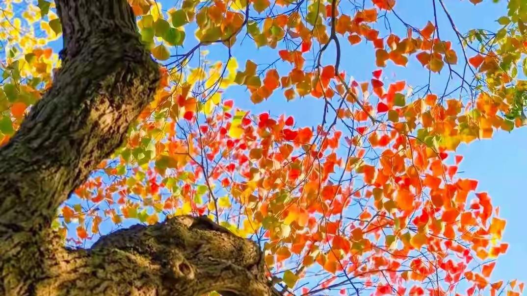 成年人的底层能力：深层认识自己。