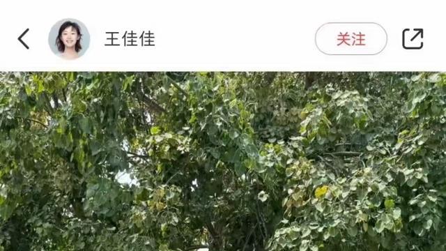 电视剧《漂白》，这次还能漂得白吗？