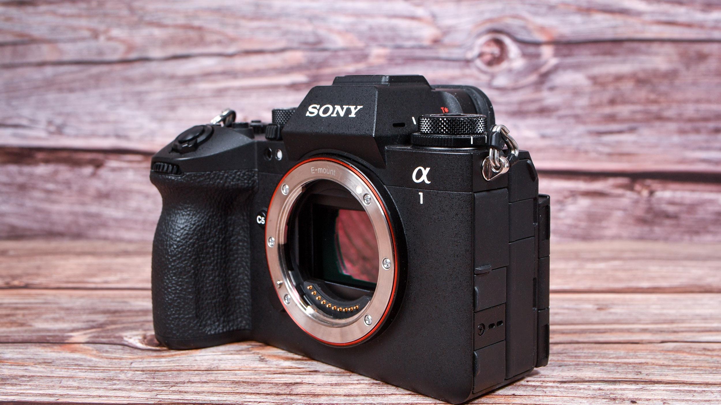 尼康Z9vs索尼α1II：旗舰微单怎么选？实测差异帮你拎清