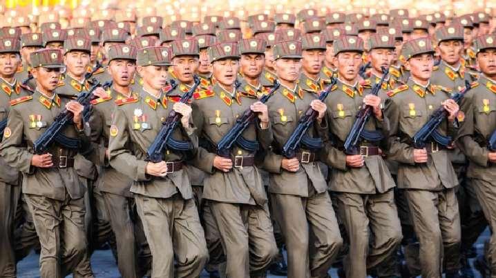 俄军官宣：乌军又损失59万，朝军对乌火力全开，泽连斯基已无退路，只剩下和谈一条路了