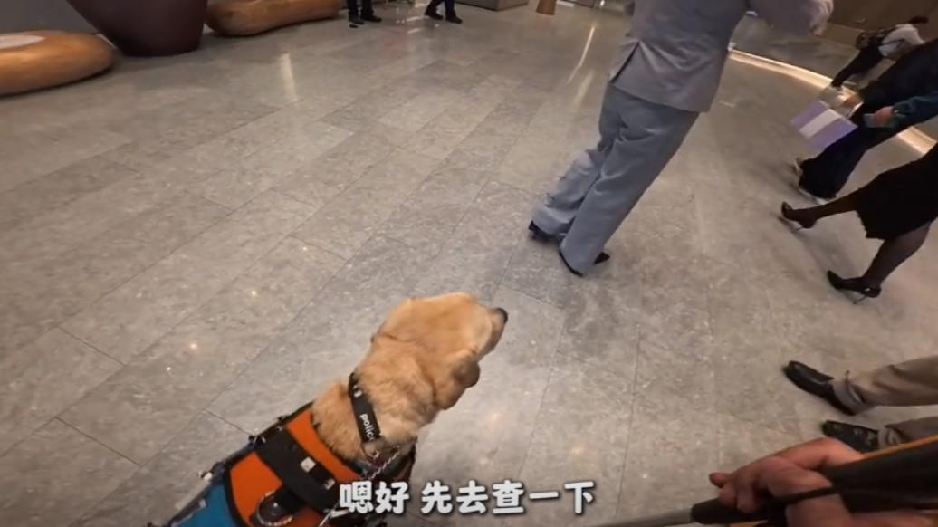 盲女带导盲犬入住全季酒店遭拒, 前台都快哭了也没用! 酒店正式道歉