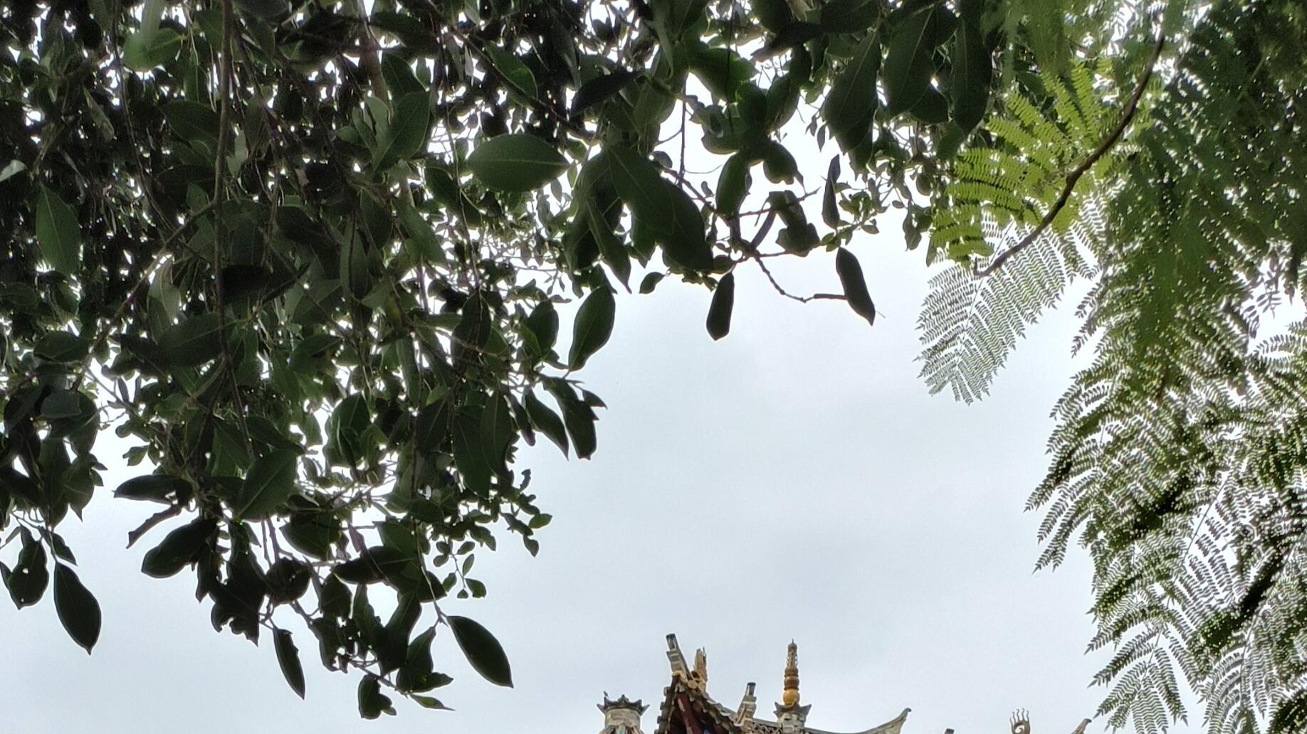 水利与美学碰撞，石屏洄澜阁，藏着古人的顶级浪漫！