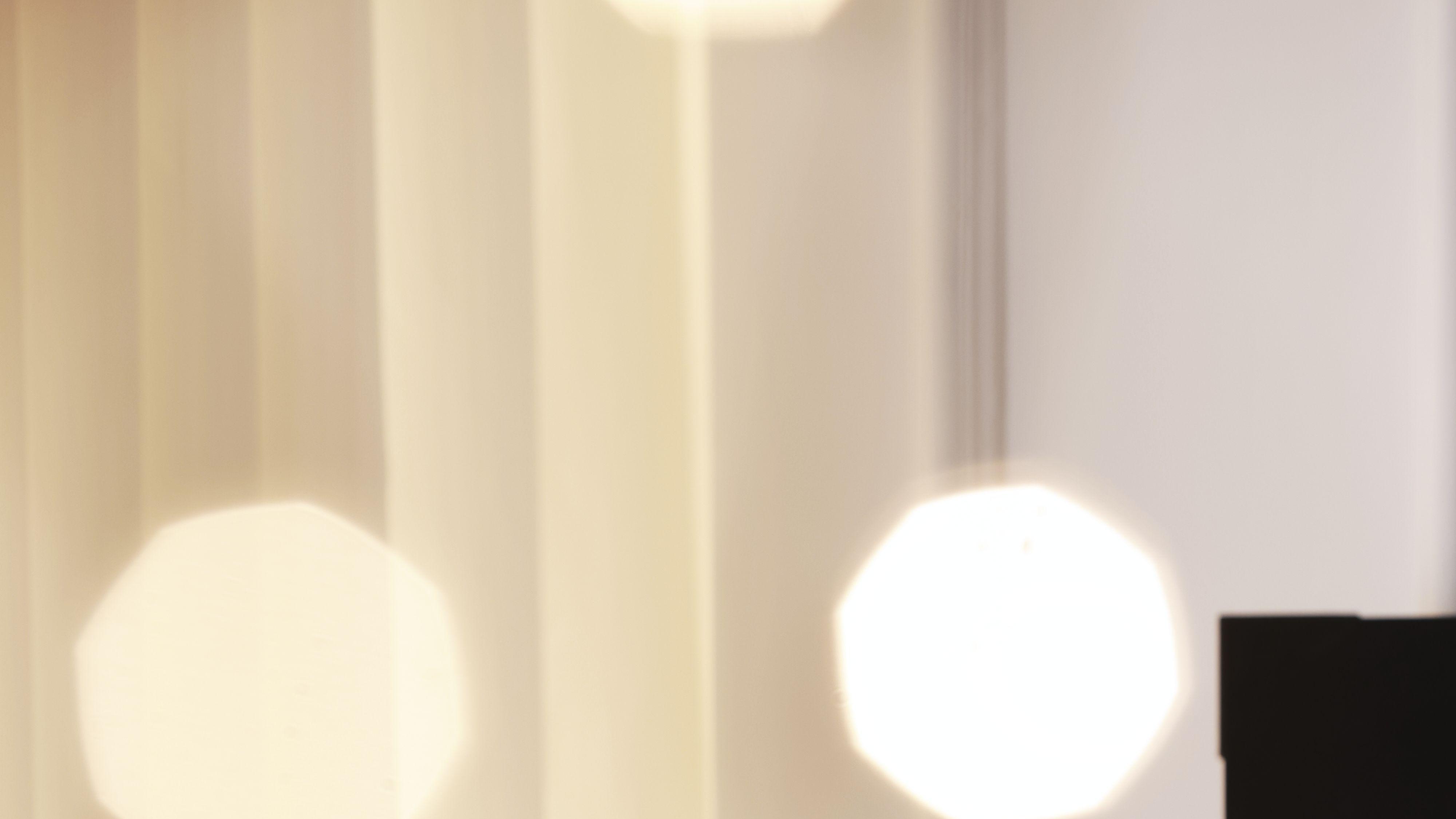 当一只鹰飞过雅拉谷：澳洲鹰（JEFFREY EAGLE ）