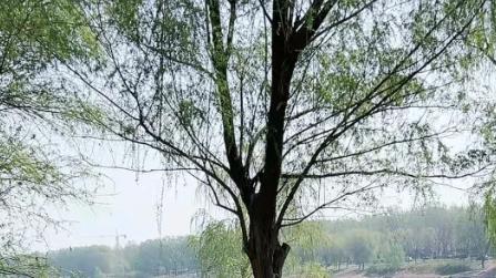 一眼万年！我和银河 E8 的双向奔赴
