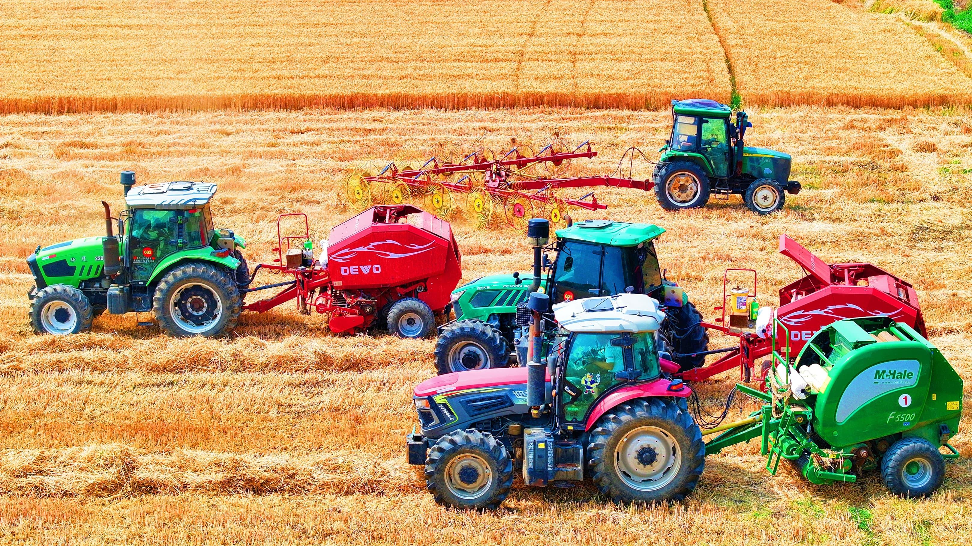 江苏东海：“芒种”正当时  麦田“农机秀”