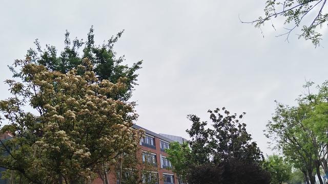 想让厌学休学孩子尽快复学，父母需要过5个心理关，切勿急于求成