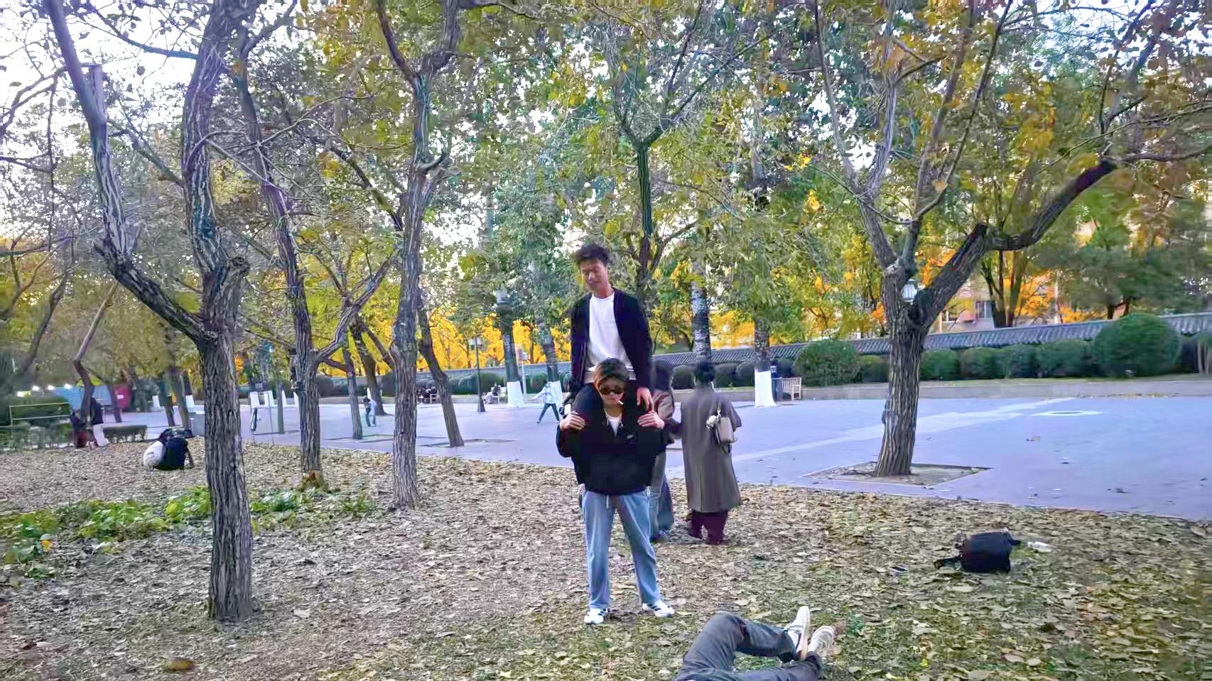 这里是公认北京秋天最美的地方，银杏大道与枫树林，美如仙境