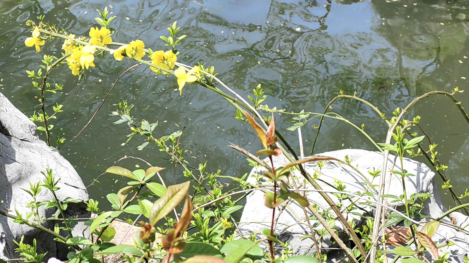 人在职场：放下完美，用心务实