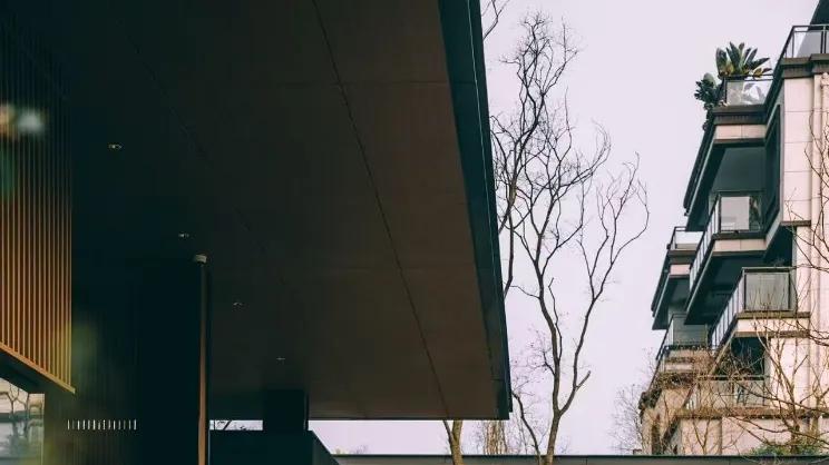 驭见双重精彩：保时捷Panamera演绎性能与豪华的平衡之道