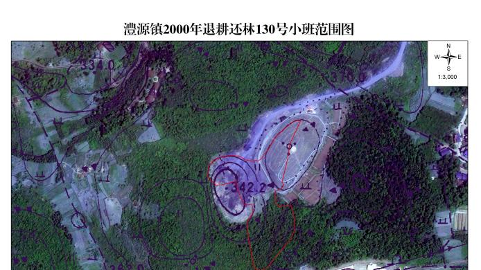 聚焦桑植县一起事件：以事实为基，守护法治温度