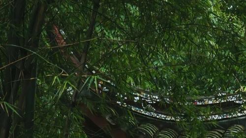 食神遇偏财是巨富的命 大富大贵有口福。