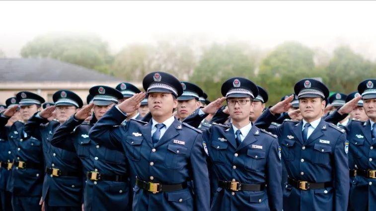 奉贤城管的温度与力度，藏在这些故事里……