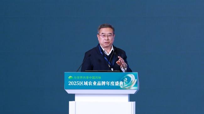 姚坤：为地标产品注入“文化芯片”