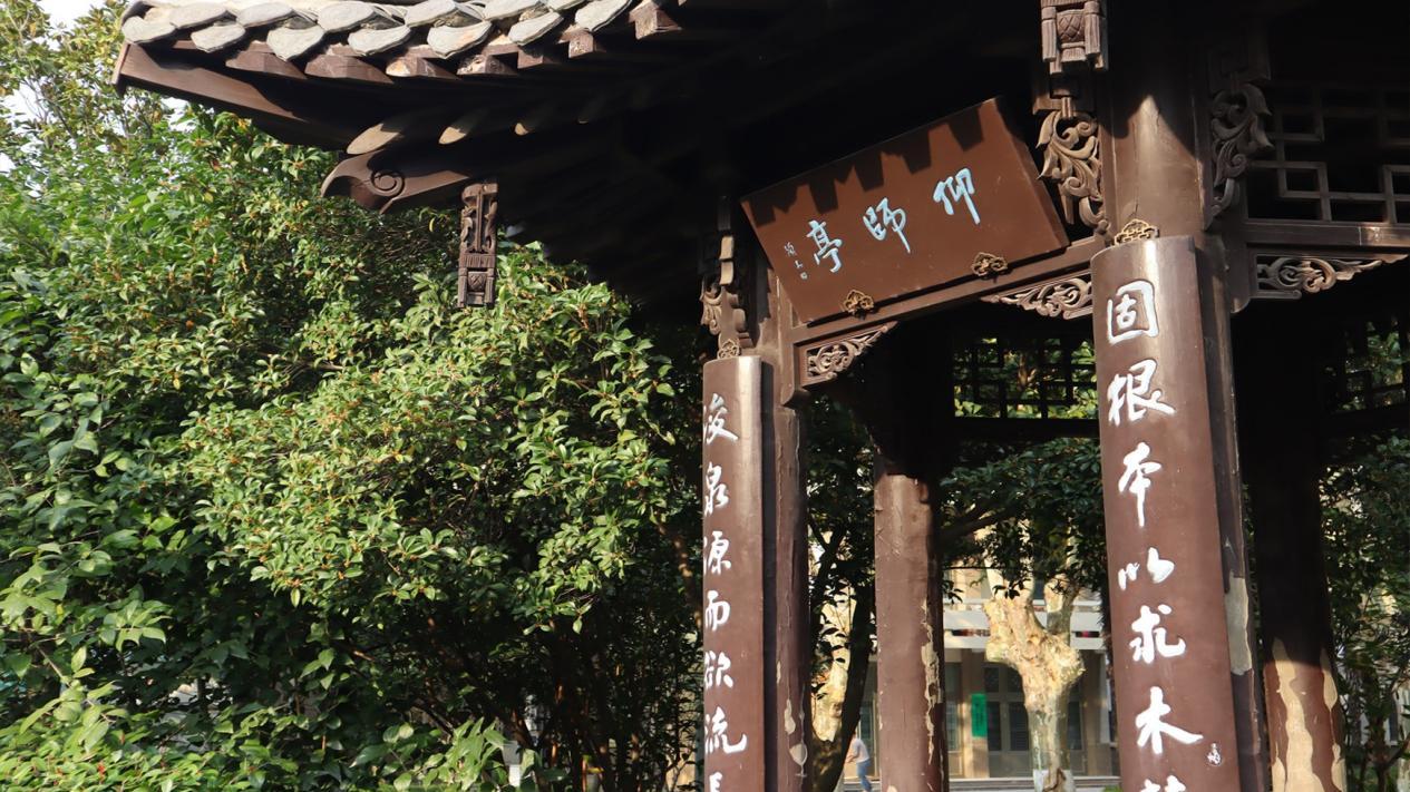 扬州大学好不好？校园有多绝？七个校区承包扬州半城风光