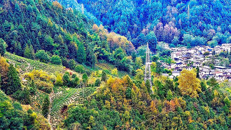 【美文欣赏】大洲源秋色