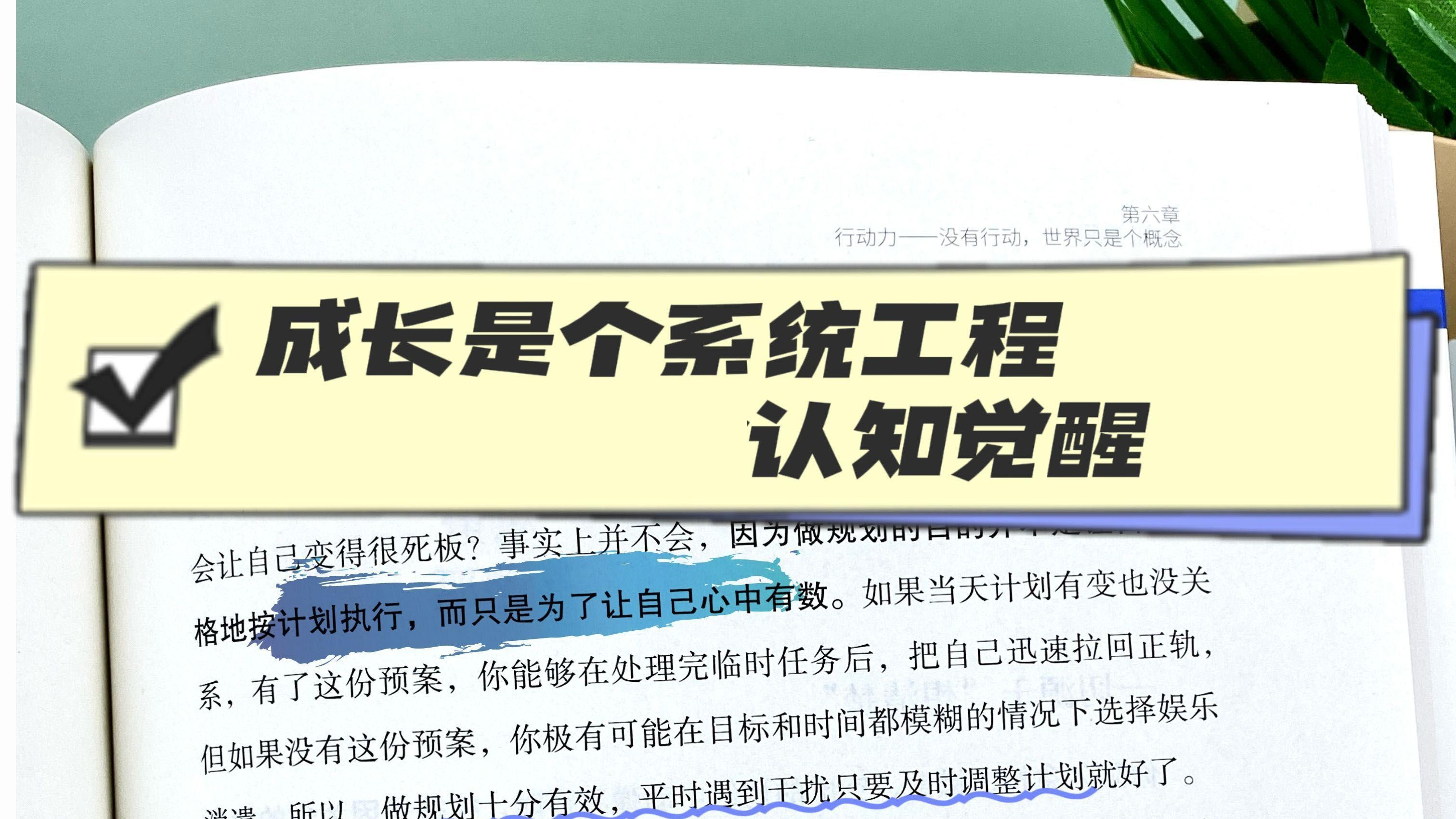 成长是个系统工程-周岭认知觉醒