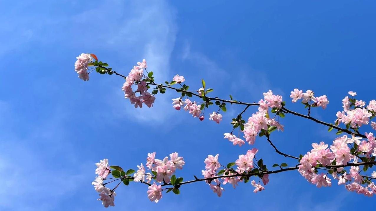 为什么夫妻关系变得冷漠？比背叛更伤感情的原因