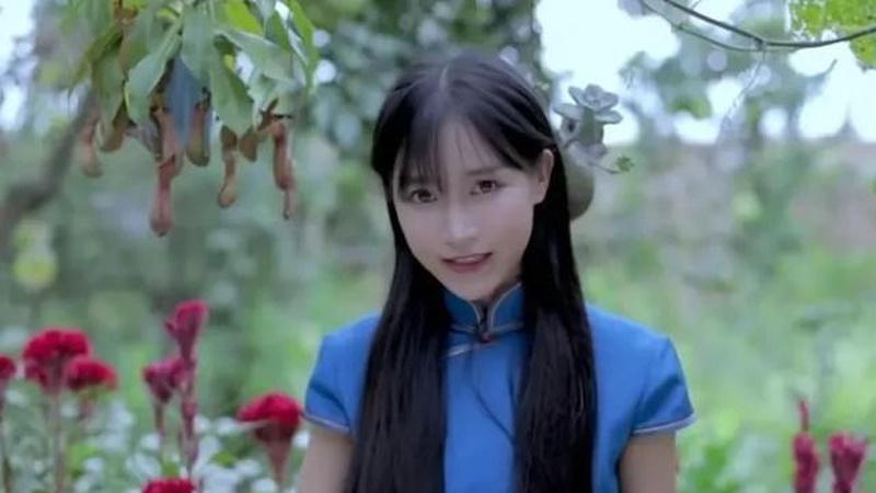 农村姑娘李子柒，种植技艺精湛，如何赢得全球关注与人民日报赞誉