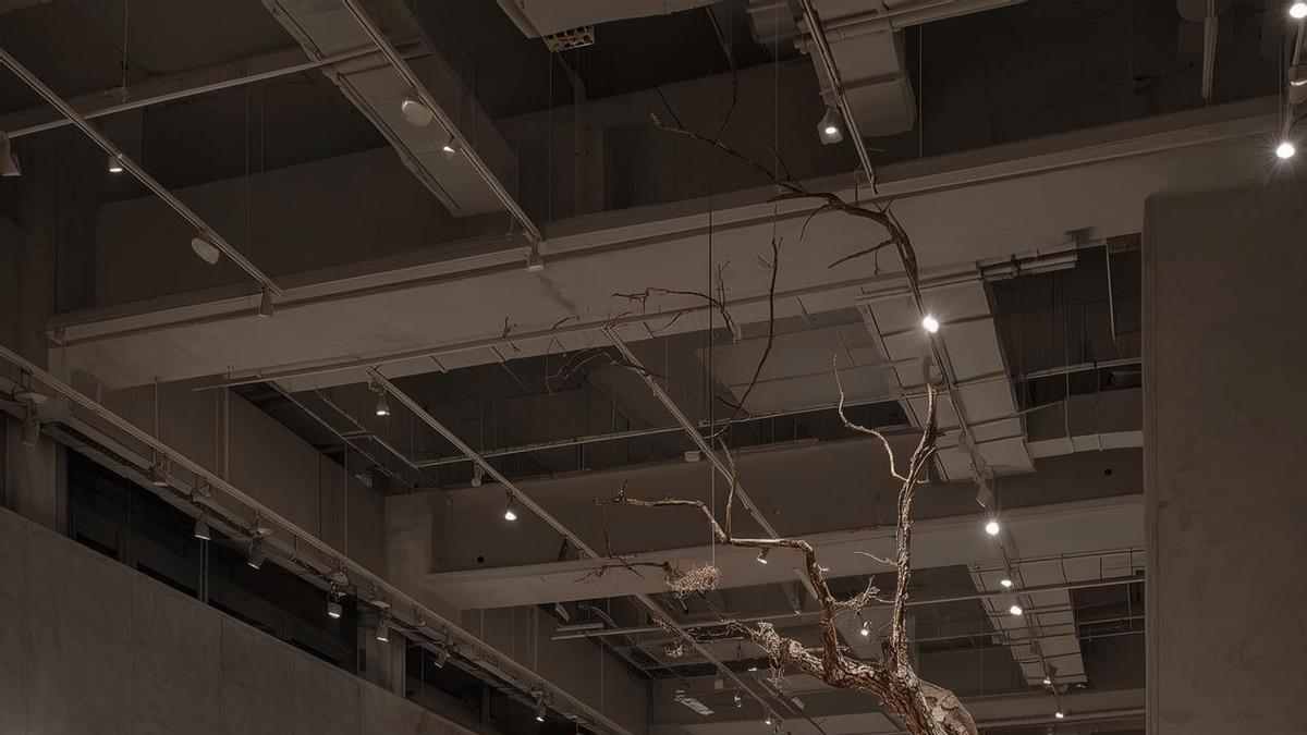 一周年成长答卷：领克Z20以安全性能智能解锁新可能