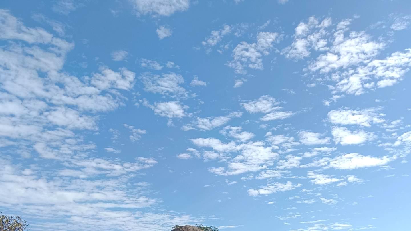 张秃子的忐忑人生笔记——265信义千金