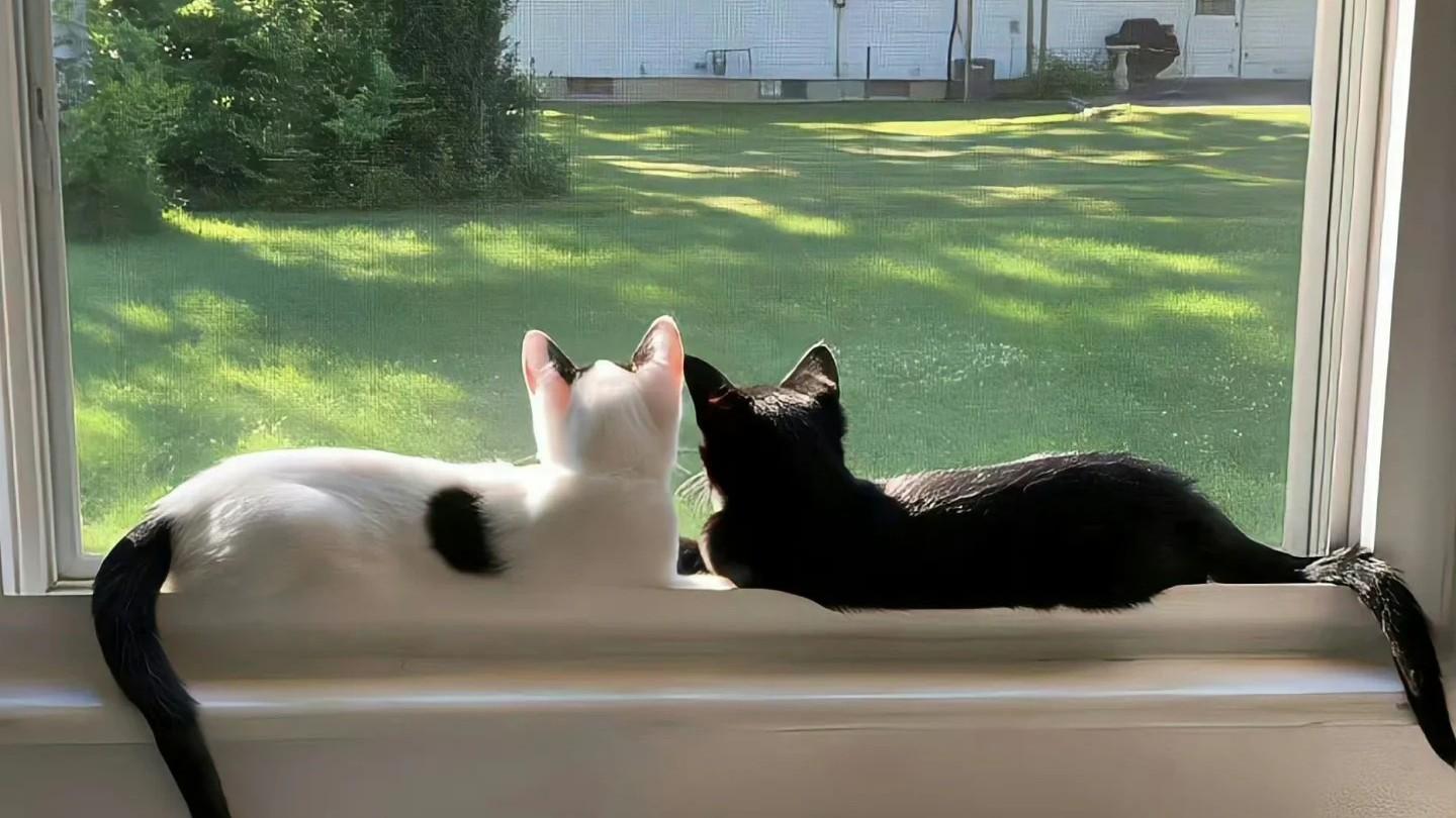 目前的工作，你还坚持的下去吗？3 大数据 + 2 个决策方向