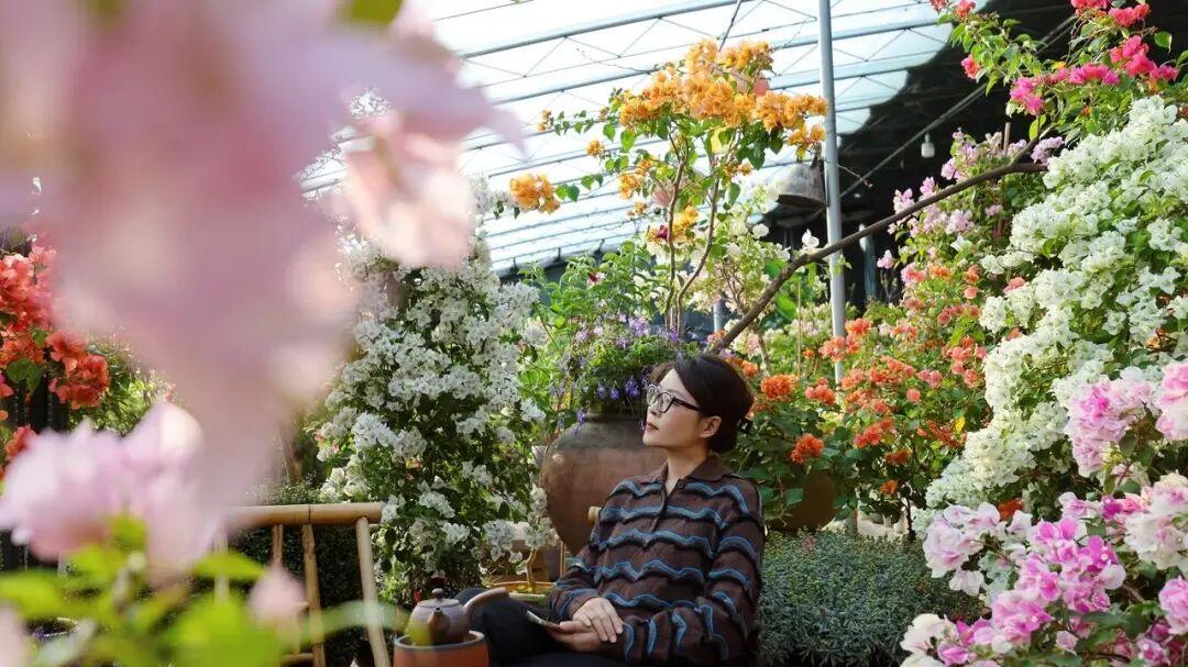 最好的婆媳关系：退休老教师揭秘 “三七定律”，家宅和睦有门道！