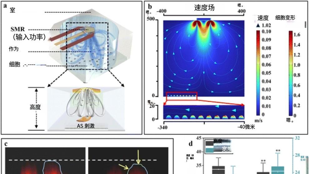 【改变未来的科技】声波在微流控芯片中的创新应用 - 齐云龙