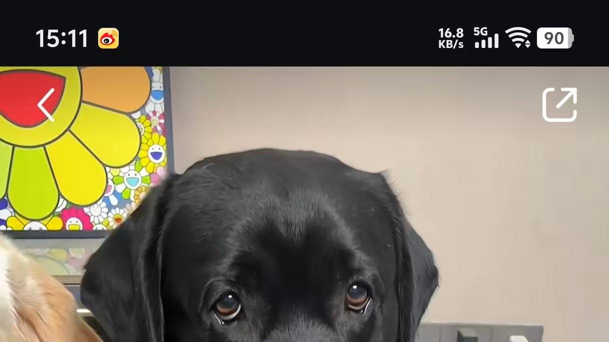 vivo S30 Pro mini 续航测试