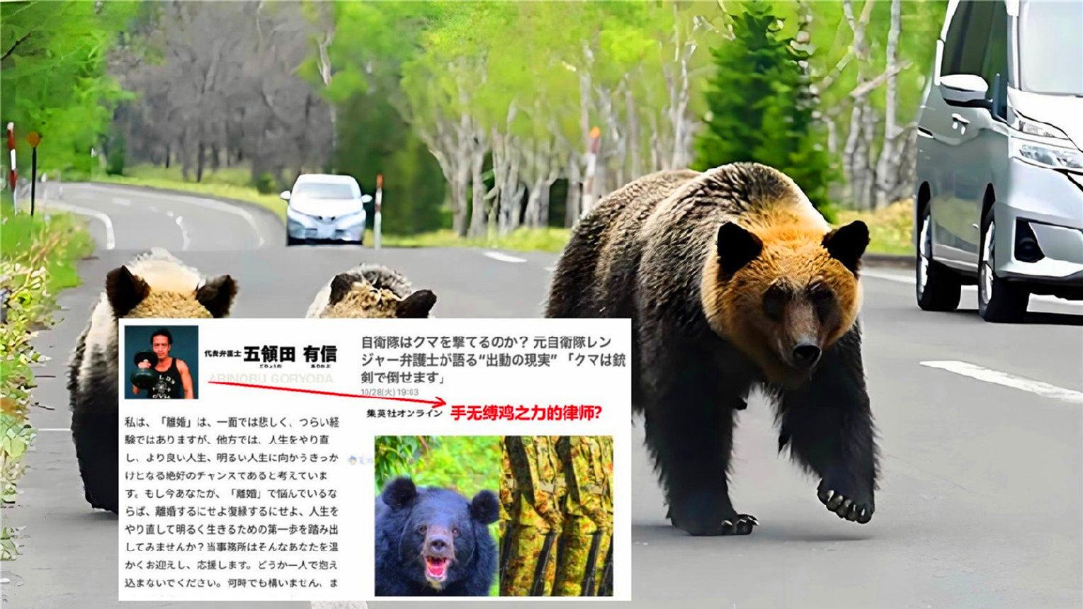 二度提醒大家别和熊打架，《东岛丹三郎想成为假面骑士》引发热议