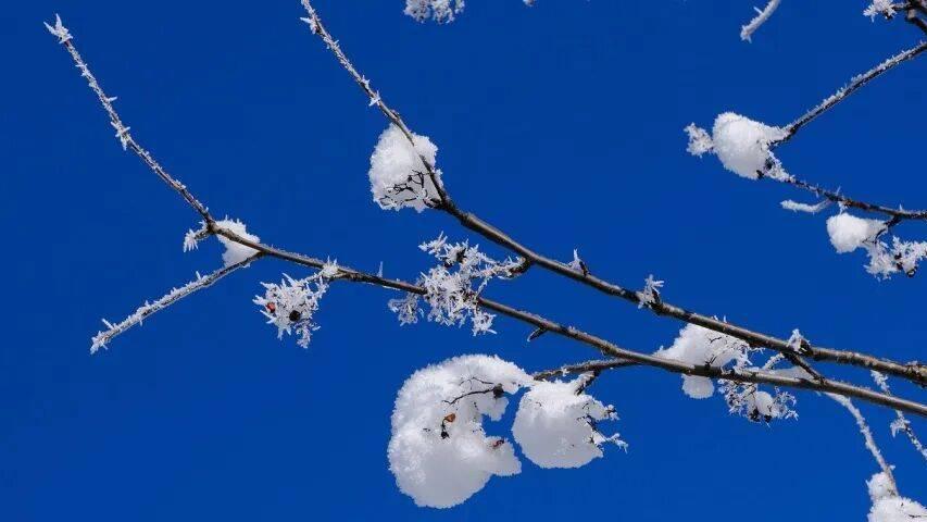 家电企业今后“活下去”的根与魂