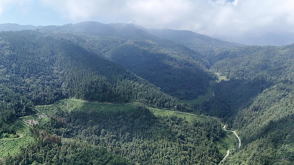 因企业资金困难，虚构项目假中标，获取500万，是否涉嫌“诈骗”？