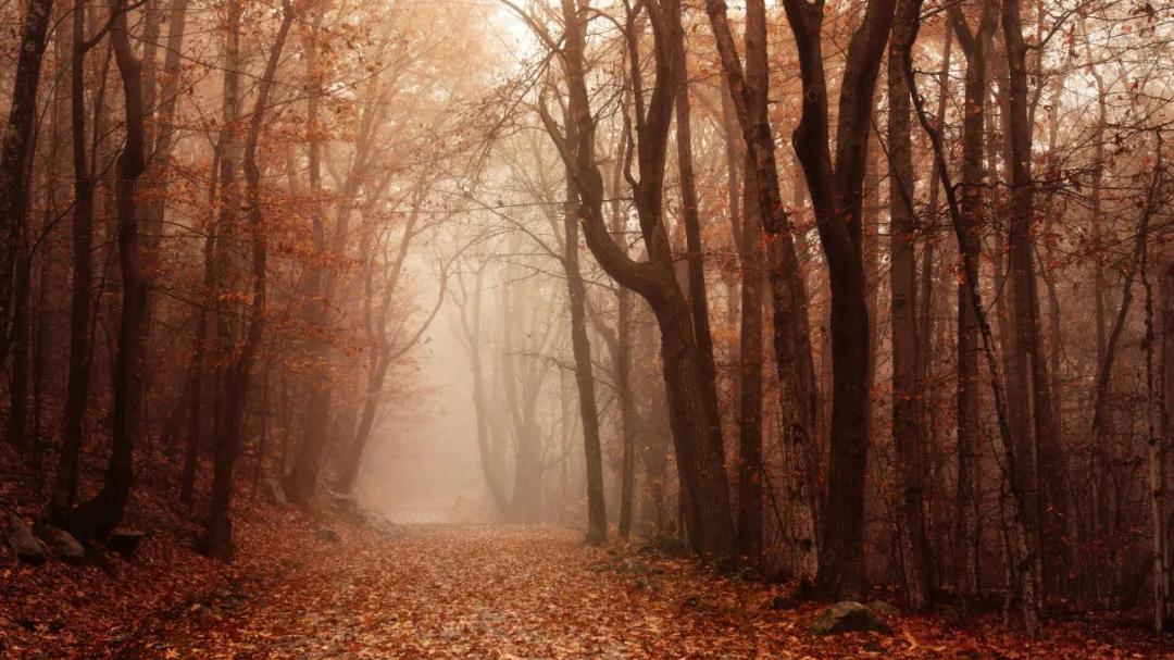 人生，没有无用的经历