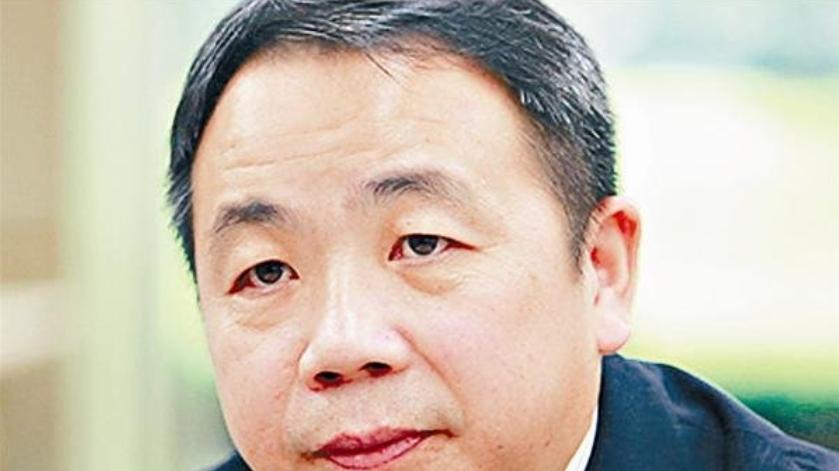 外交部实施制裁后续：二鬼子石平太郎没想到，万能的中国网友把他的资产扒个底掉