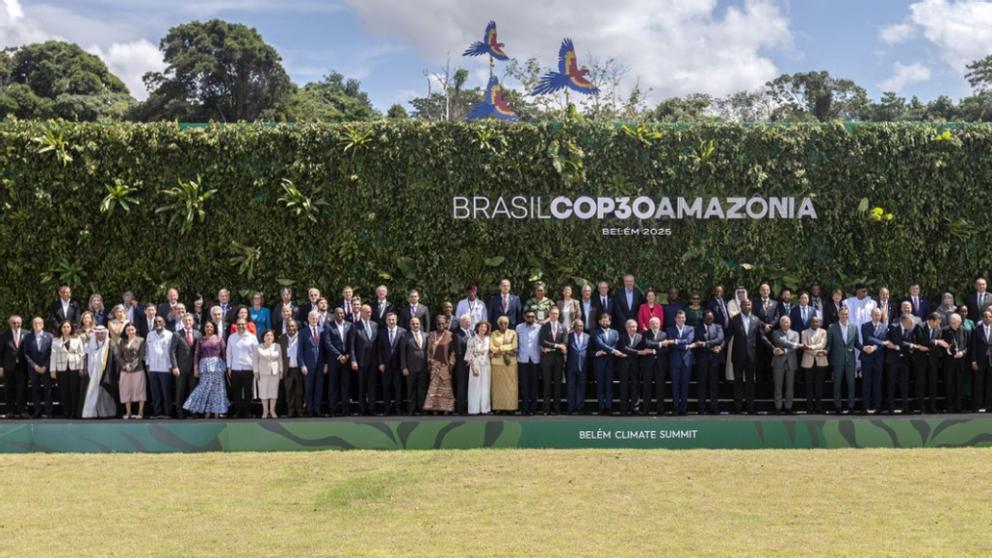 国内木材市场：原料涨价叠加缺货，新一轮调价潮来了？