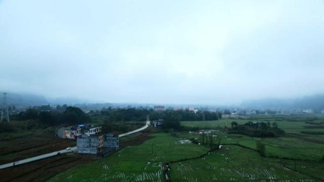 今日二月初三“龙出汗”，老话“最怕二月初三阴”，有啥说法？