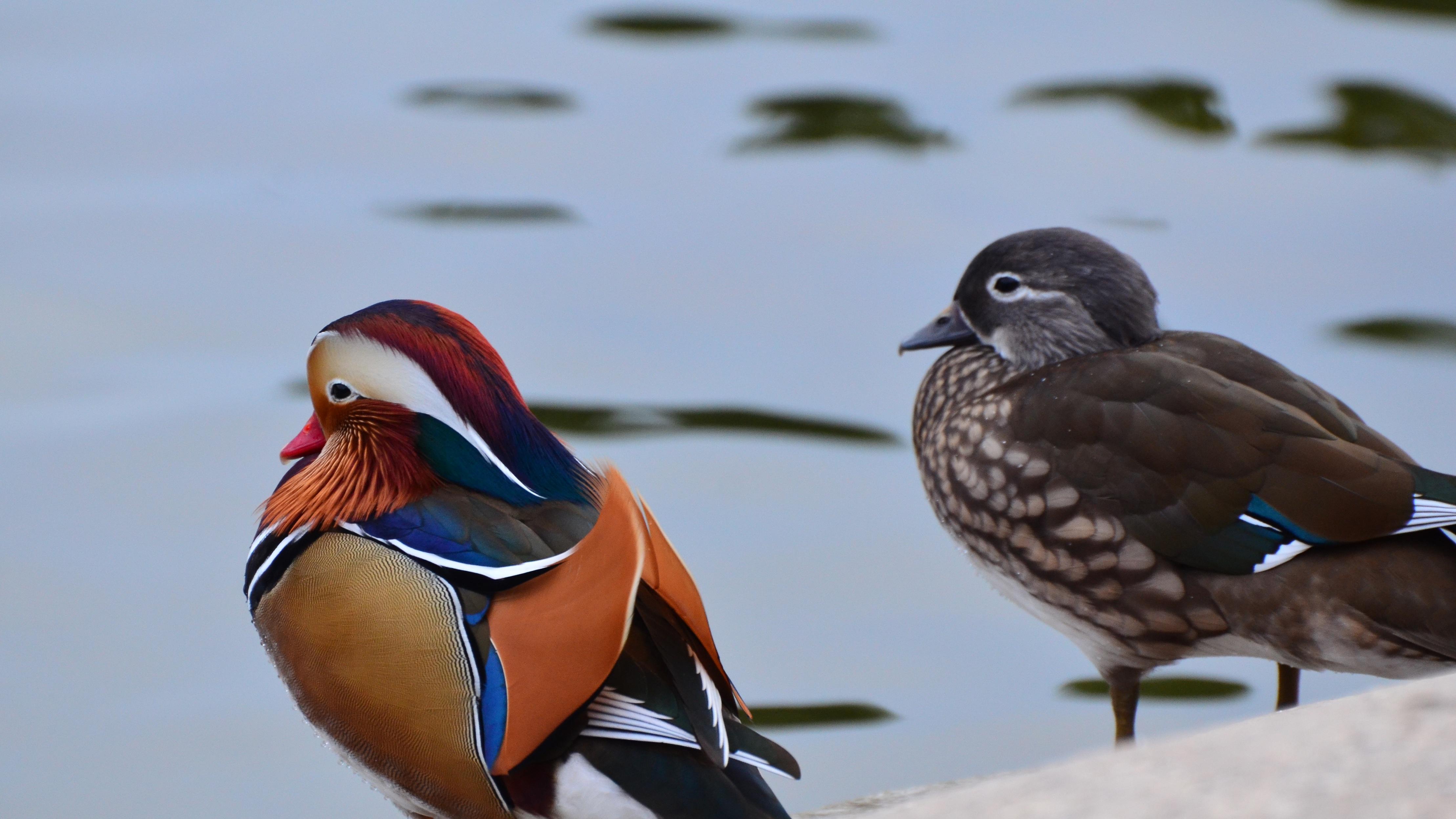 1.4万亿斤，中国饭碗为什么越端越稳