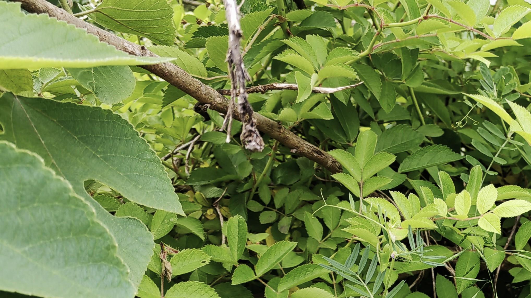 人在职场：不敢做决定，天花板就低