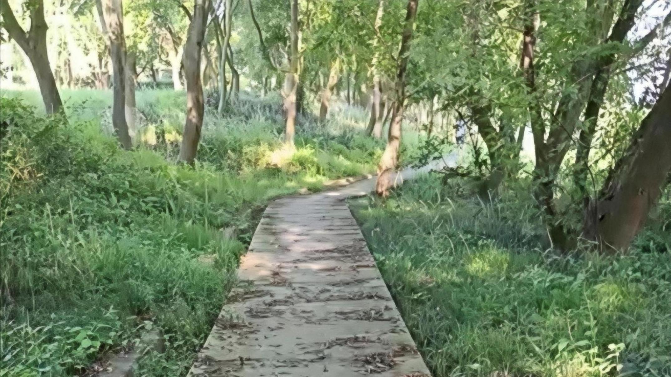 匆匆又匆匆地在路上