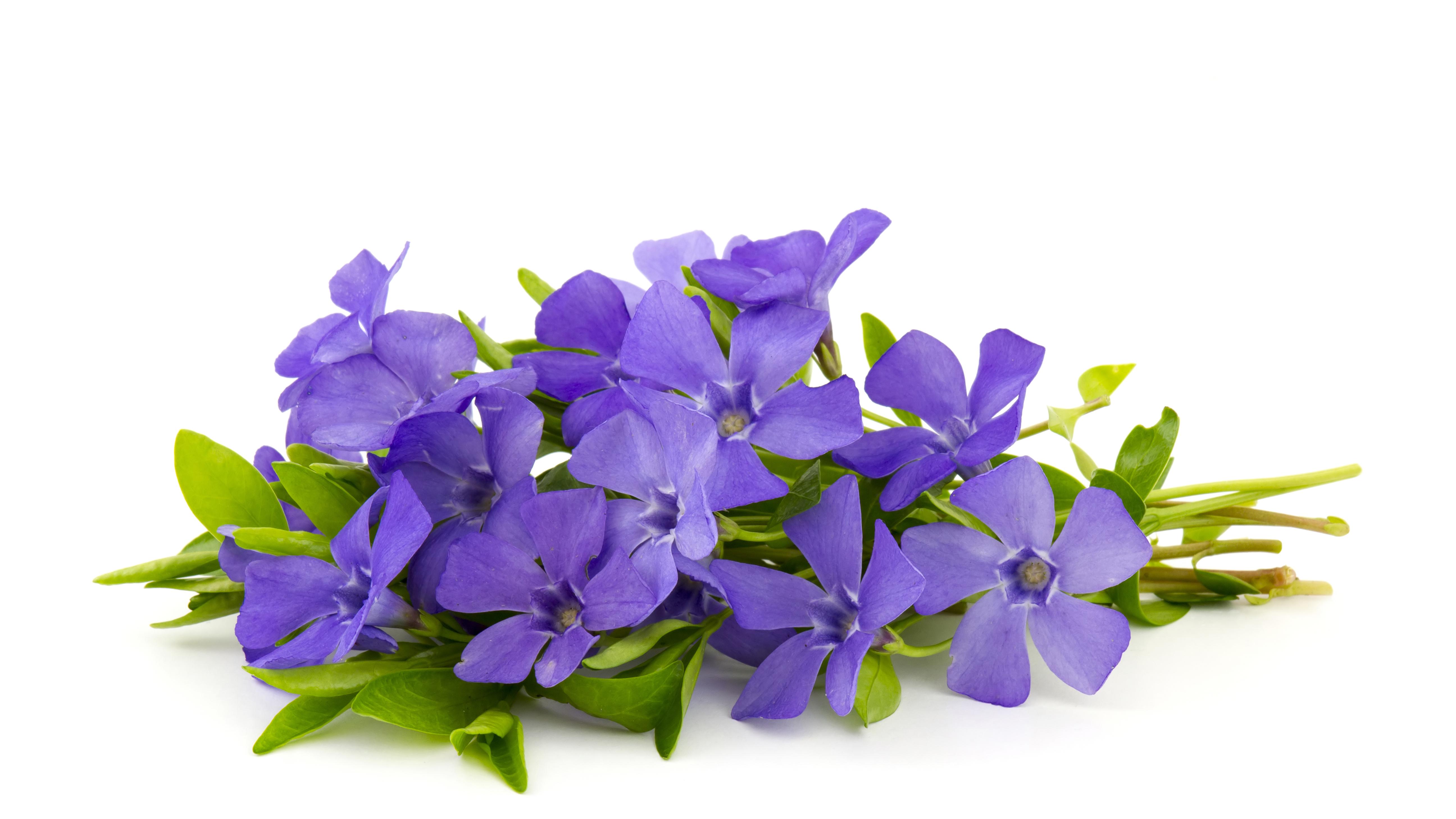 牛肉调查“加时赛”，到底在下哪步棋？