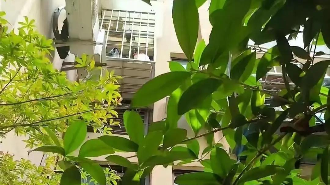 未领证先“监控”：他的掌控欲，让她连夜逃离