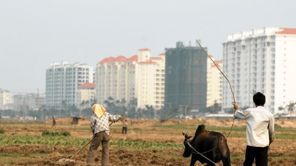 专家孟晓苏：建议农民将宅基地和土地出售，进城购房交付首付