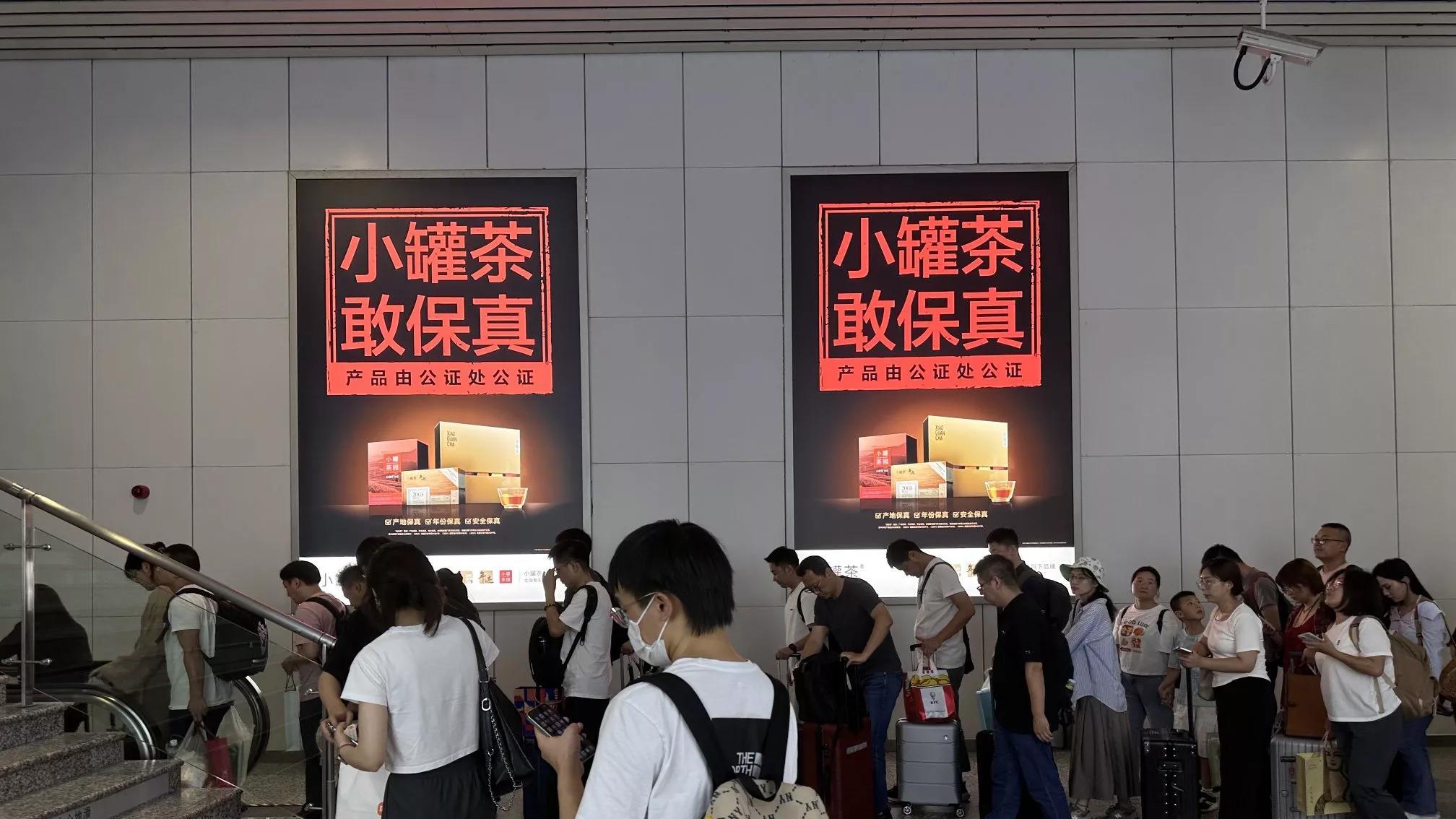 朱丹蓬：2025 年春茶上市，谁没当过“冤大头”？