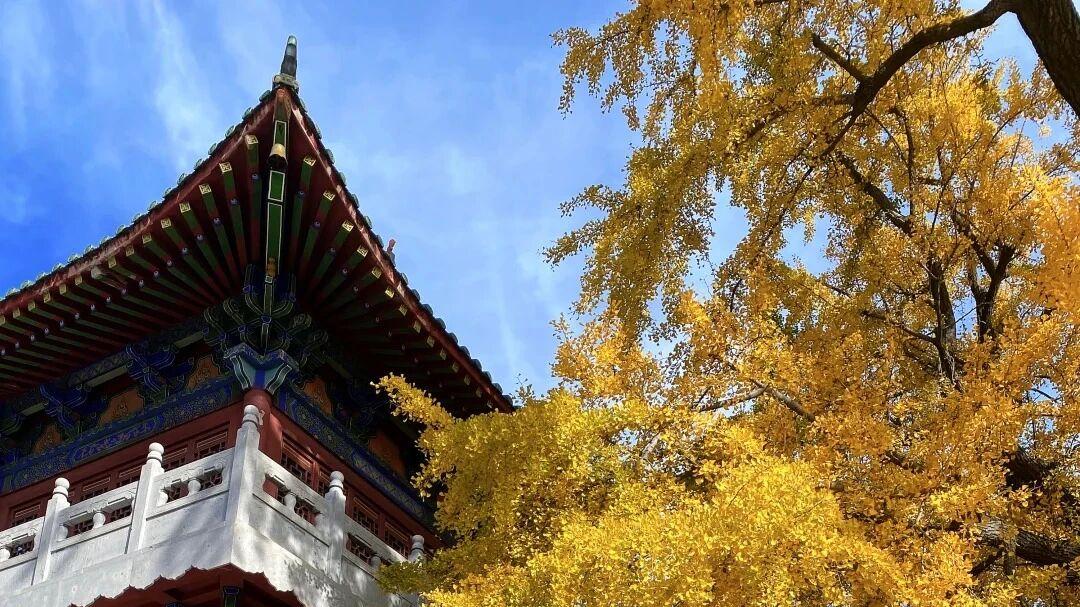 【许昌大鸿寨】景区游记：自然与历史的双重秘境之旅