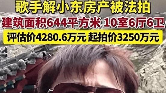 10室6厅6卫豪宅被法院拍卖，56岁的解晓东，到底怎么了？