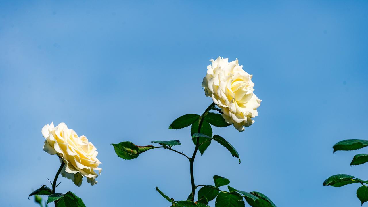 原配必看！出轨男人对老婆和情人，是完全不同的态度！