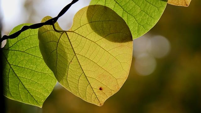 不管什么风，只要能让你的心静下来