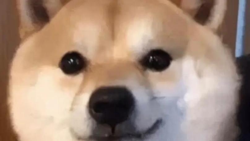 率土竟将玩家拍成短剧！玩家生态是率土十年最大的宝藏