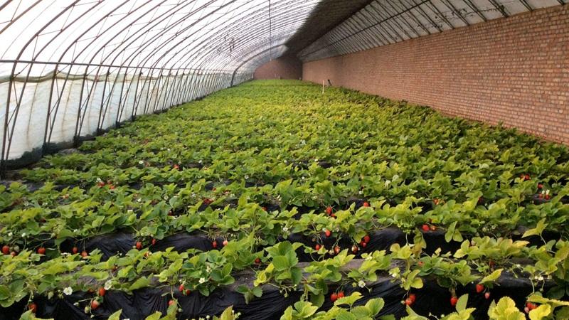 天津刘广成：继续控告，孰是孰非，一定要弄明白