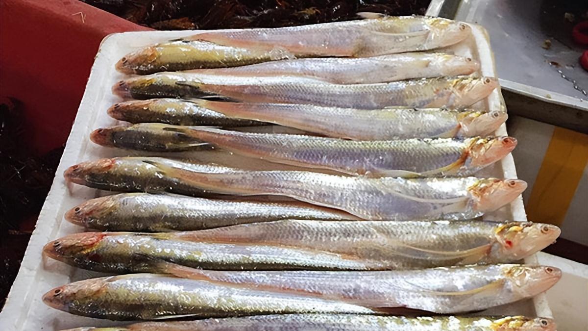 中国“最奢侈”的4大食材，穷人“没听过”，全吃过的是“富豪”